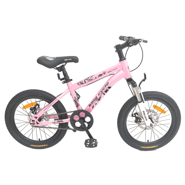 girl bike (1)