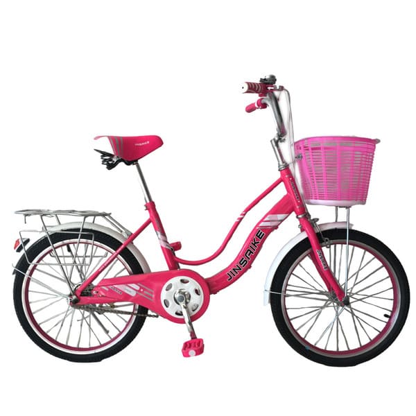 lady bike