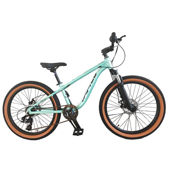 adult bike MTB
